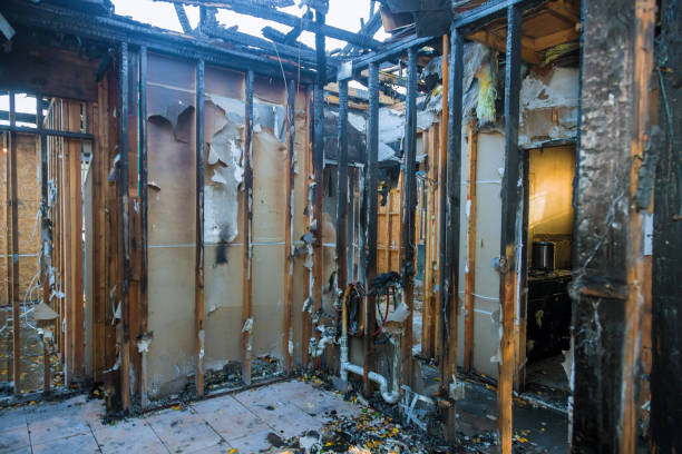 Professional Fire Damage Removal technician working in West Yellowstone, MT